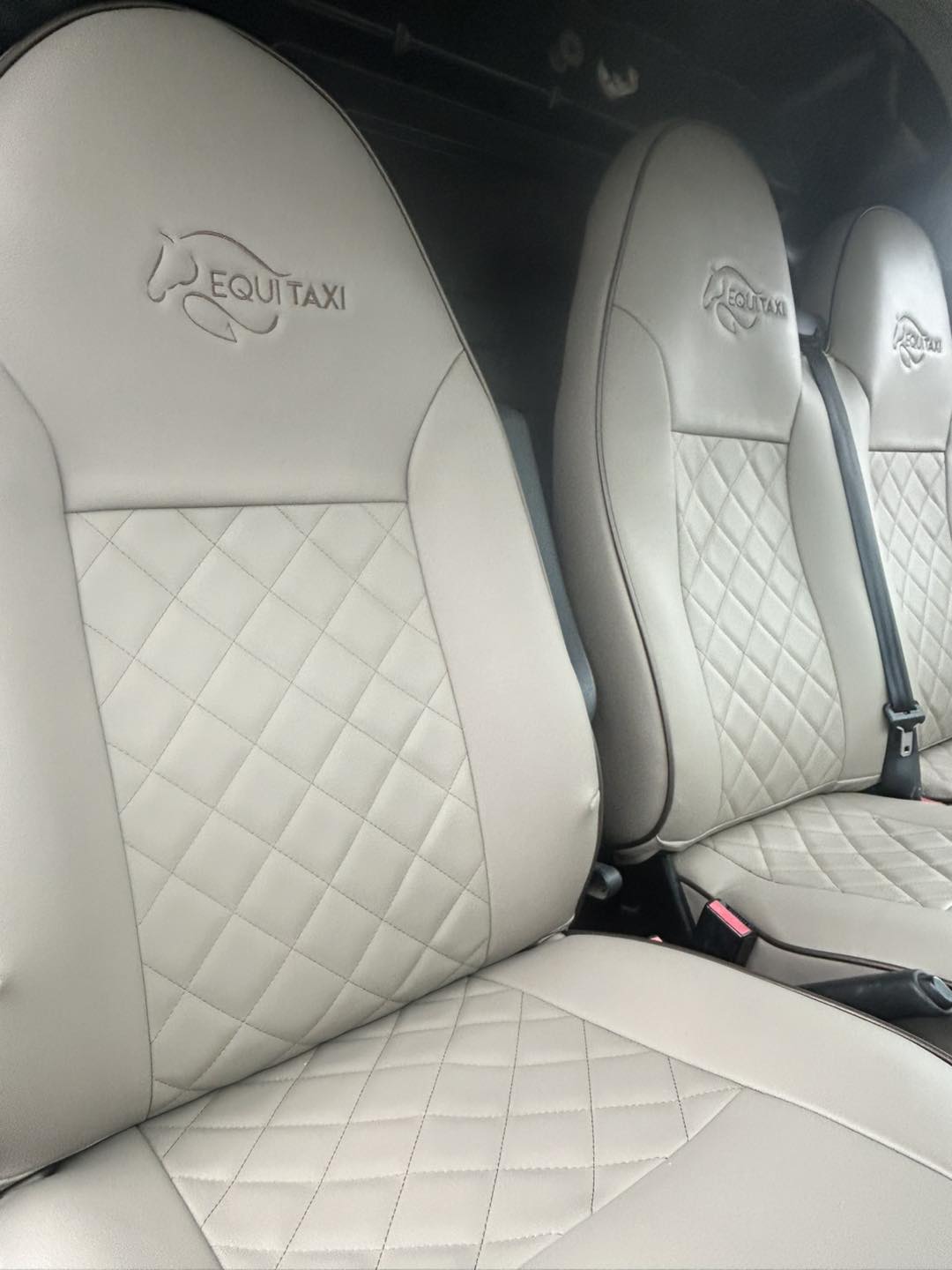 637325651_1456326752953515_5398302468954178403_n